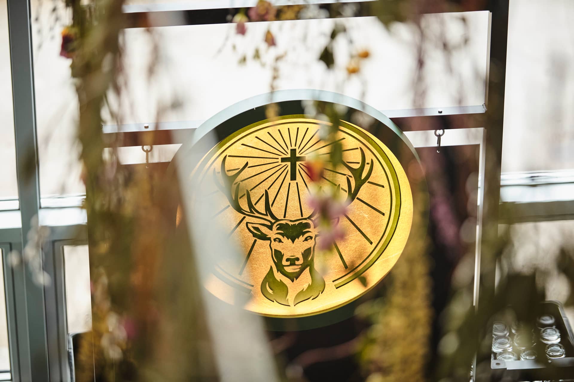 Volunteering Day - Ausstellungen